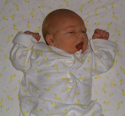 apr15_yawn.jpg
