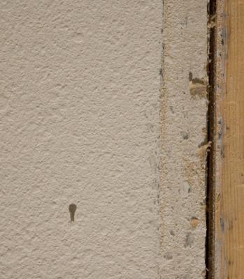 IMG_2383w.jpg