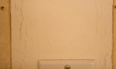 IMG_2385w.jpg