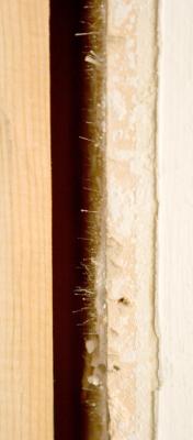 IMG_2413w.jpg