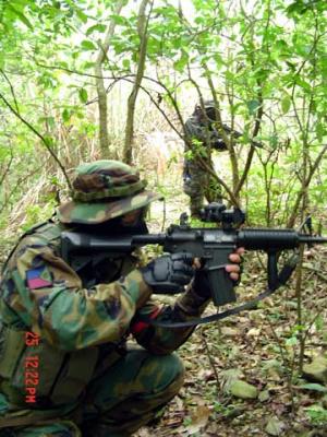 Bandit in action.jpg