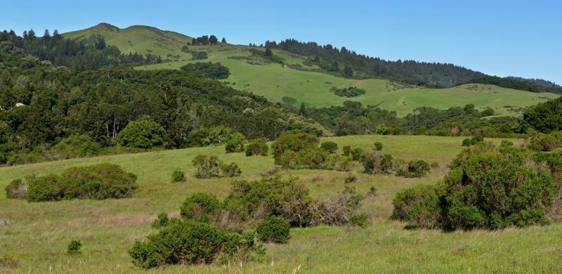 127   Pano Windy Hill  cropped  fit2_8380-5Final`0404100934.jpg