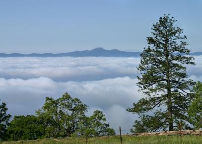 132   Loma Prieta, fog in Coyote Valley_8852Ps`0404121000.jpg