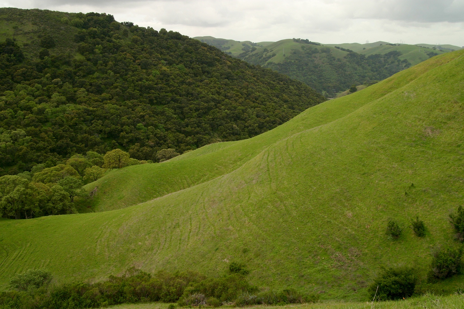 110   Wooded & grassy hillsides_7810`0403261108.JPG