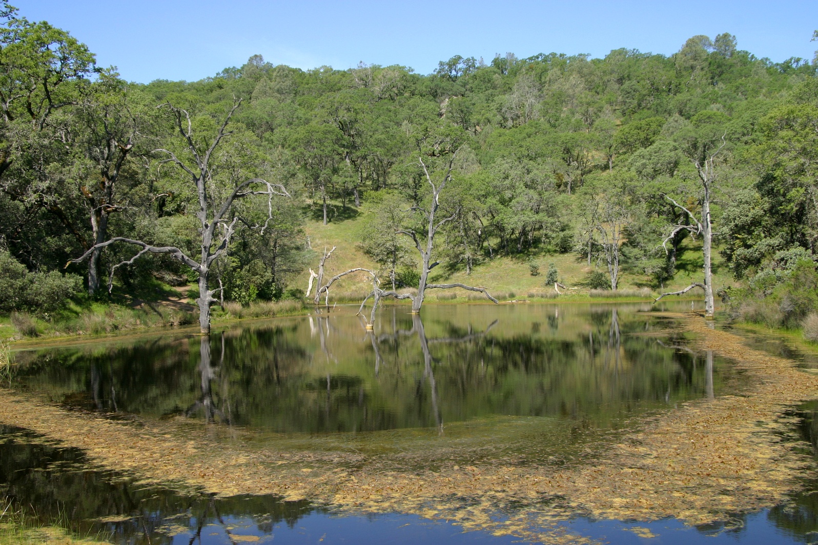 133   Frog Lake_8869`0404121051.JPG