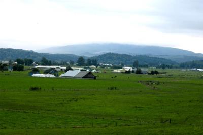 040909 Americana