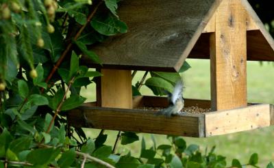 040912 Hanging On