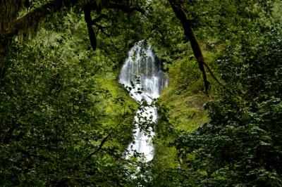 040912 Munson Creek Falls