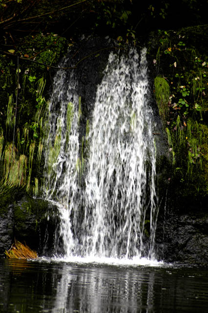 040911 Water Fall