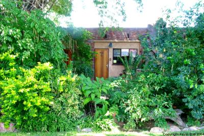 A Okonjima chalet