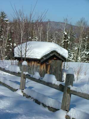 Winter Shed Near Trapps
