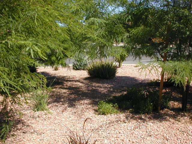 May 2004