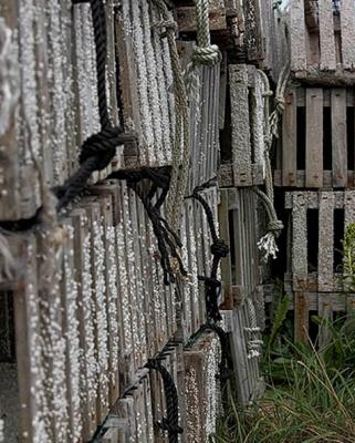 Menemsha Old Traps