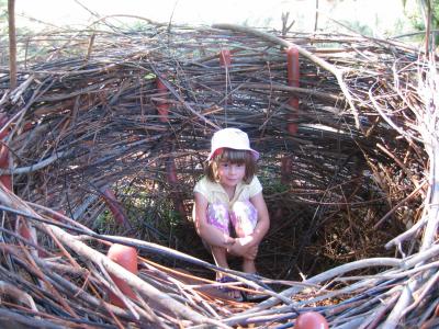 Hatchling