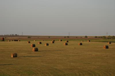 Kansas plains.jpg