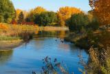 Confederation in Autumn