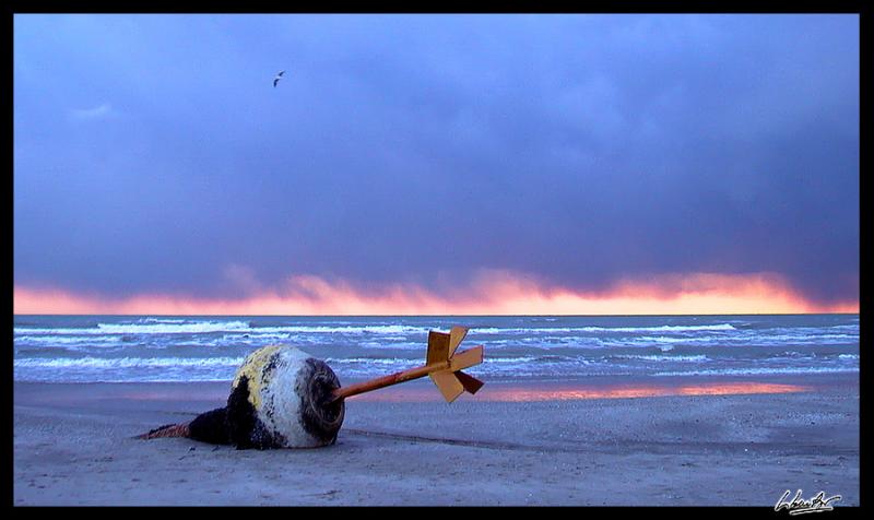 Storm