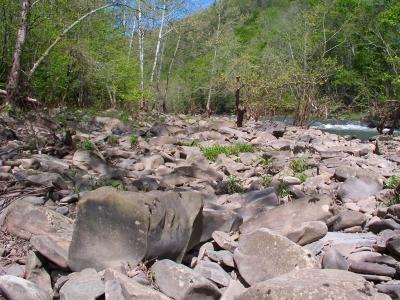 Along the Banks of the Bluestone River