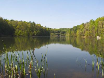 Long Branch Lake - Spring 2004