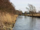 Thin Ice