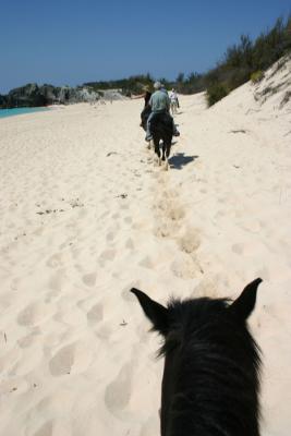 Horseback Riding on The Dunes