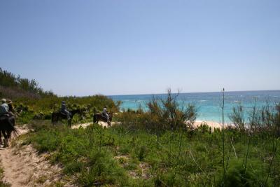 IMG_0181.JPG