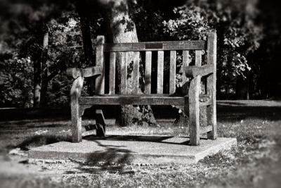 Wooden Bench