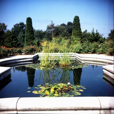 Reflecting Pond
