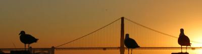 IMG_8705fixcrop800.jpg