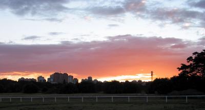 Dawn #1