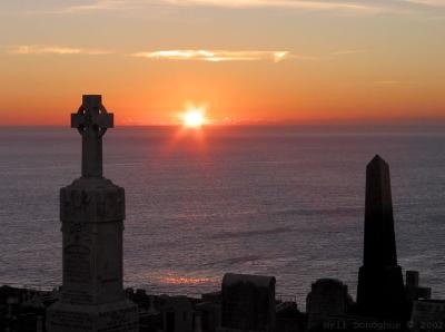 Dawn #2