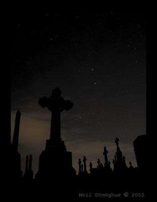 As Quiet as the Grave
