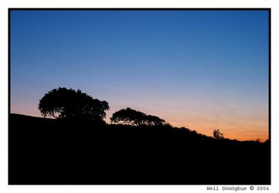 Dawn Silhouette