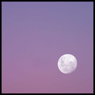 Mauve Moon: May 3, 2004