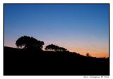 Dawn Silhouette