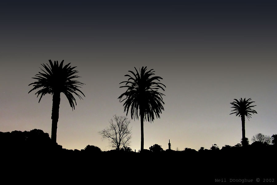 Evening