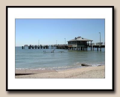 Florida's Ft. Desoto Park