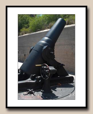 36-Cannon1-copy.jpg