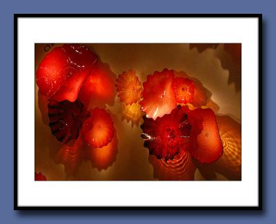 06-Wall-of-Red-Fungi-NI-cop.jpg