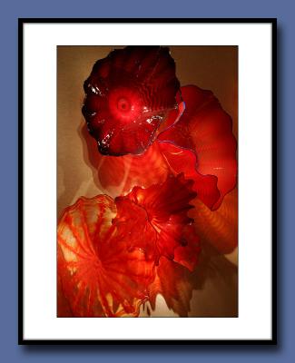 07-Red-Glass-Fungi1-copy.jpg
