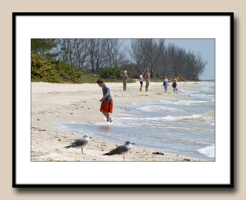 22-Beachcombers-copy.jpg