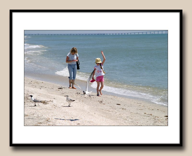 27-Beachcombers2-copy.jpg