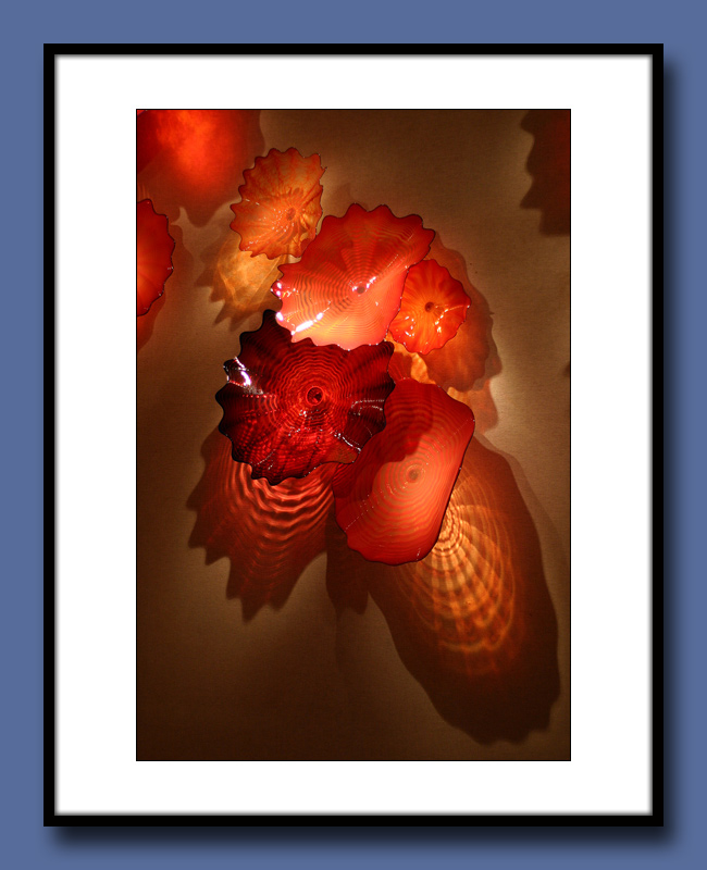 08-Red-Glass-Fungi2-copy.jpg