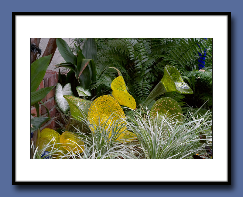 30-CRW_3602-copy.jpg