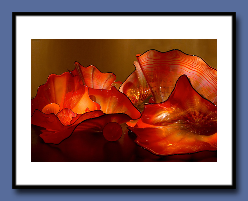 36-Red-Lichens-copy.jpg