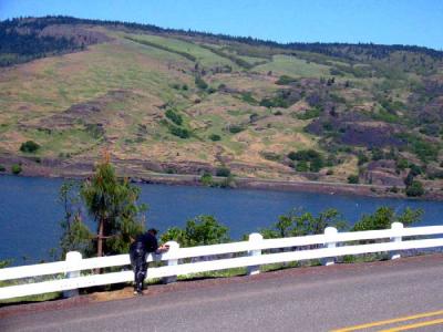 u44/liv2day/medium/28403870.sardgorgefence.jpg