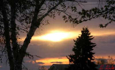 Sunset  045.jpg