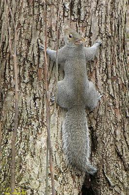Little Buddy 052.jpg