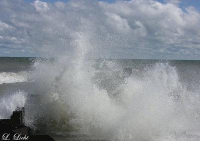 Almost wet LOL 2166.jpg