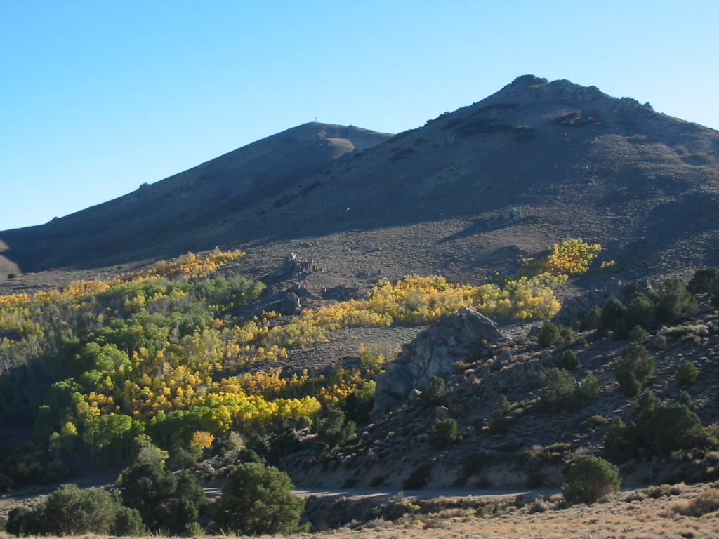 Masonic Hill